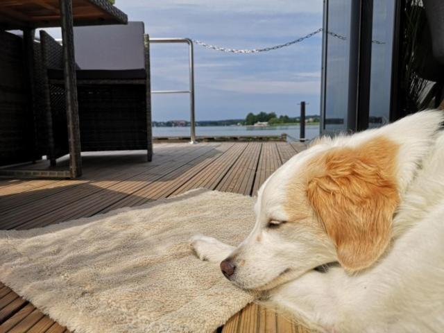 Bådhotel Hausboot Fjord Dory Mit Biosauna In Slesvig